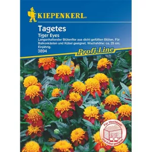 Aksamitka Tiger Eyes