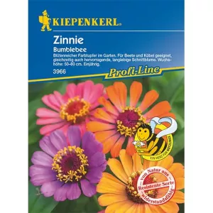 Cynia Bumblebee
