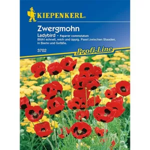 Mak ozdobny Ladybird