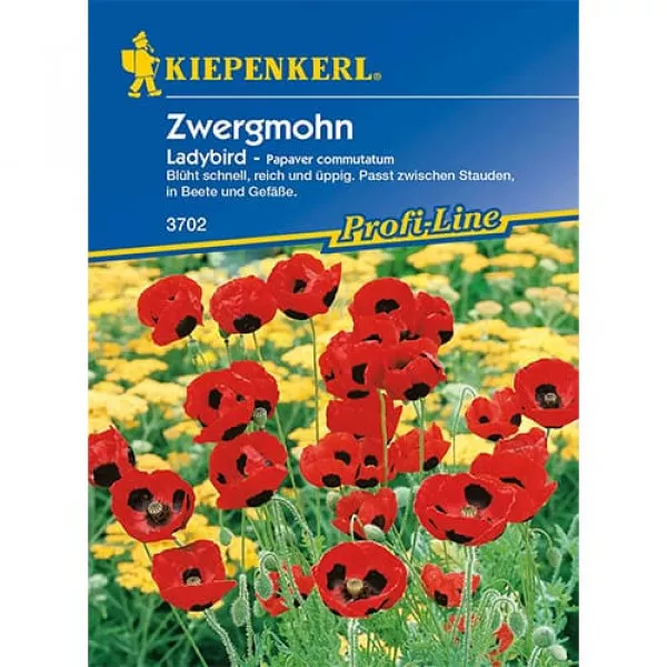 Mak ozdobny Ladybird