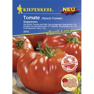 Pomidor Gigantomo F1