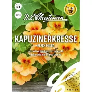 Brzoskwiniowa Melba