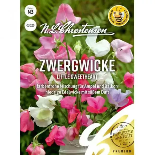 Groszek pachnący Little Sweetheart