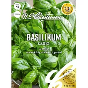 Bazylia Genovese Classico