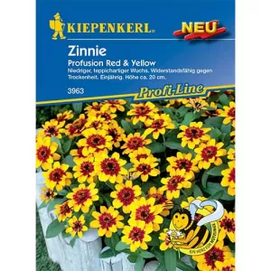 Cynia Red & Yellow