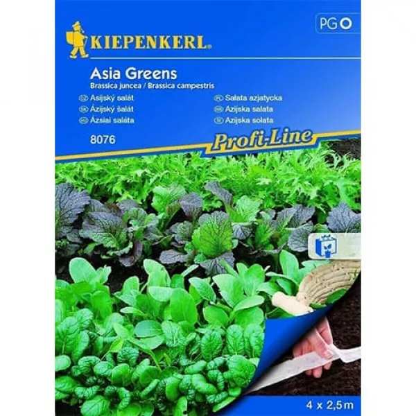 Sałata Asia Greens, taśma nasienna Sałata Asia Greens, taśma nasienna