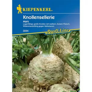 Seler korzeniowy Mars