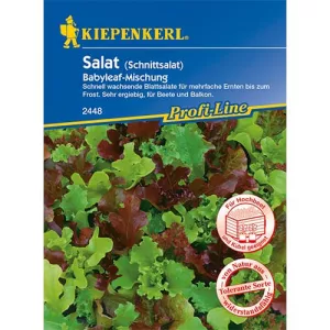 Sałata Babyleaf, mix