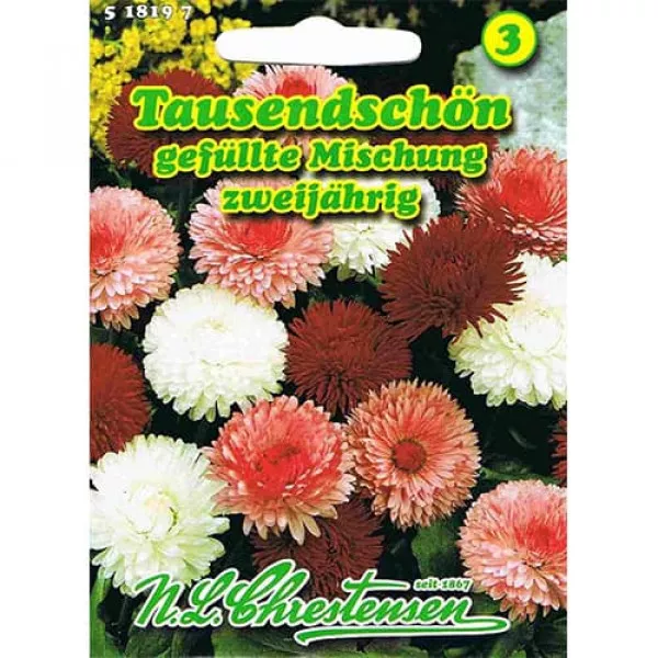 Szarlotka pospolita Daisy Szarlotka pospolita Daisy
