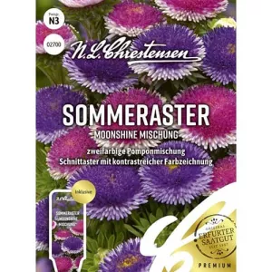 Aster Moonshine