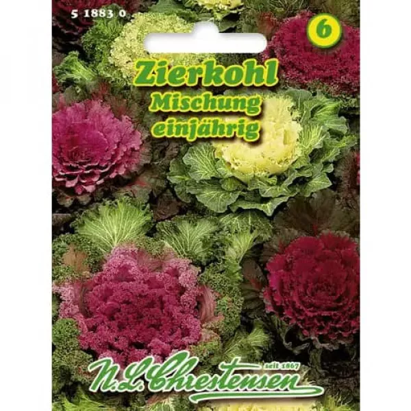 Kapusta ozdobna mix kolorów Kapusta ozdobna mix kolorów