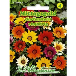 Gazania Gartenstern