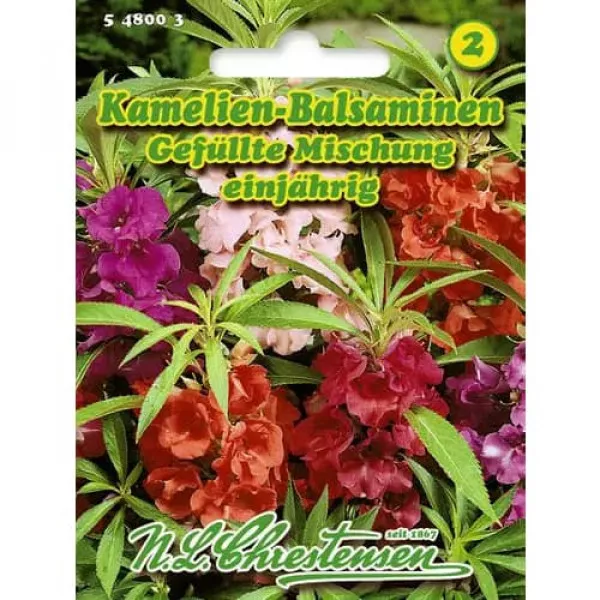 Niecierpek mix kolorów
