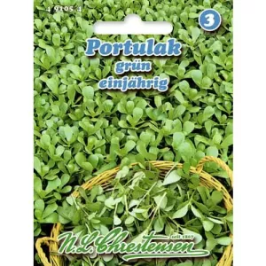 Portulaka gruba jednoroczna