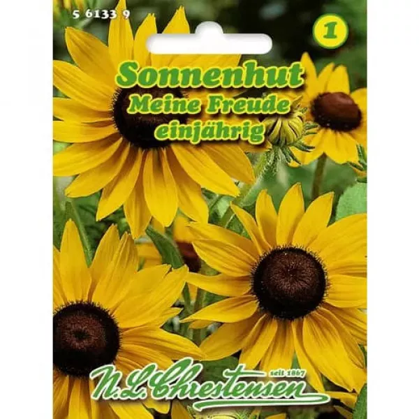 Rudbekia Meine Freunde