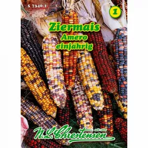 Kukurydza ozdobna Amero