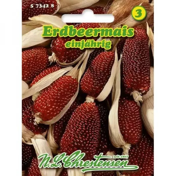 Kukurydza truskawkowa ozdobna
