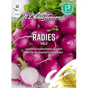 Rzodkiewka Viola