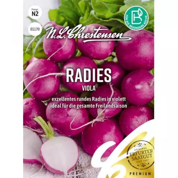 Rzodkiewka Viola