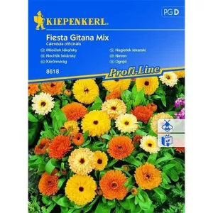 Nagietek Fiesta Gitana