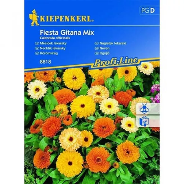 Nagietek Fiesta Gitana