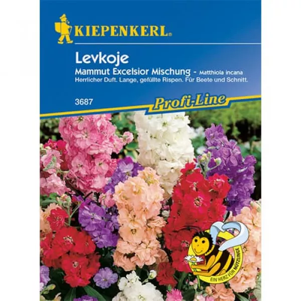 Mieszanka kolorów Levkoja Mamut