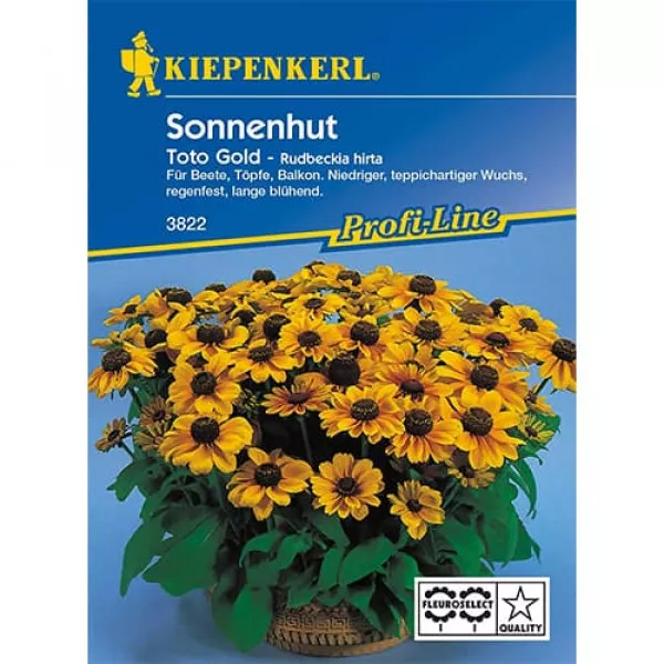 Rudbekia Toto Gold
