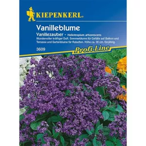 Heliotrop Vanillezauber 