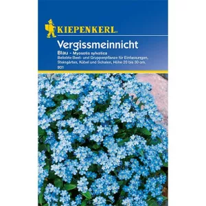 Niezapominajka Blue
