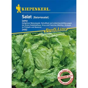Sałata Leny