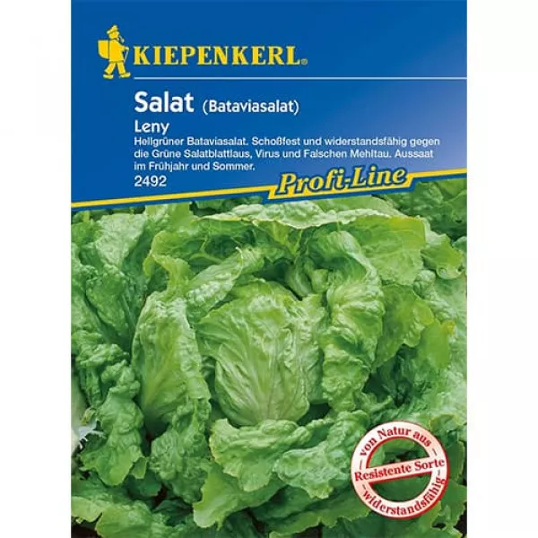 Sałata Leny
