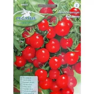 Pomidor Red Cherry