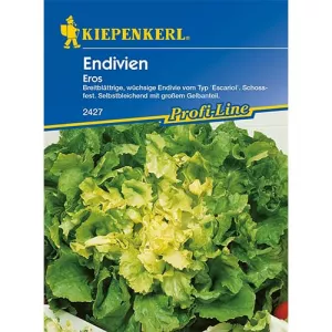 Endywia Eros