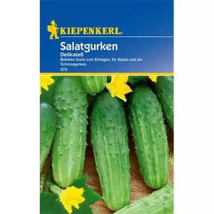 Ogórek Delikatess