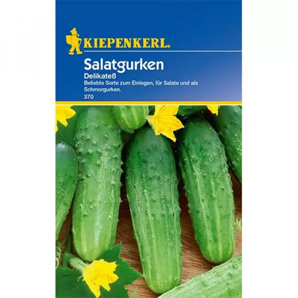 Ogórek Delikatess