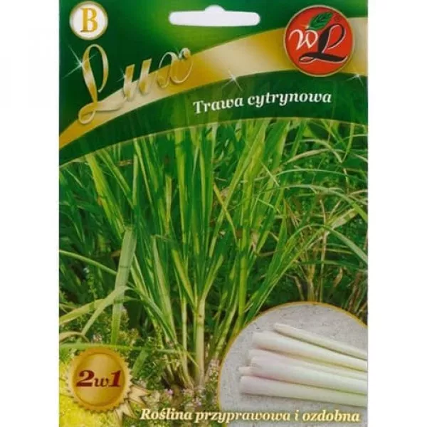 Trawa cytrynowa