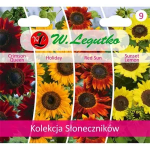 Kolekcja słoneczników ozdobnych, opakowanie 4 odmian