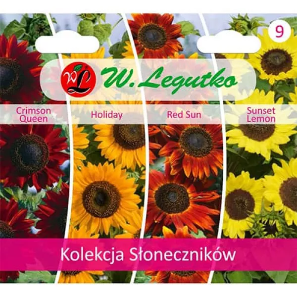 Kolekcja słoneczników ozdobnych, opakowanie 4 odmian
