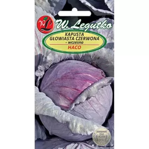 Kapusta fioletowa Haco