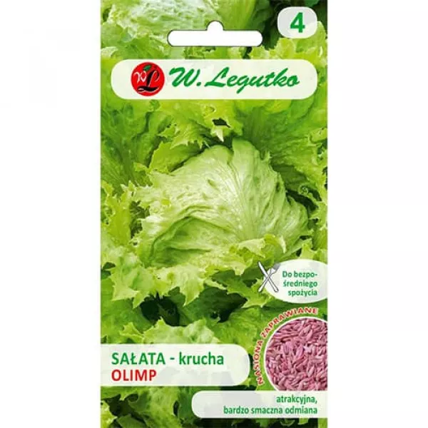 Sałata Olimp
