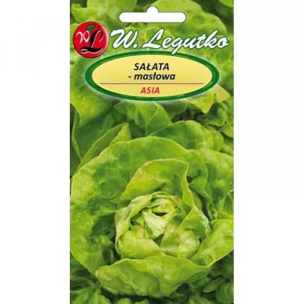 Sałata Asia