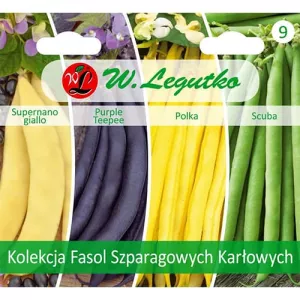 Kolekcja fasoli karłowej, opakowanie 4 odmian