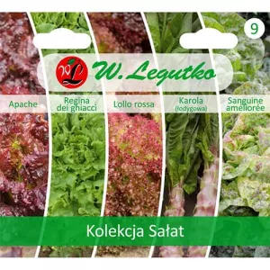 Kolekcja sałat zielonych, opakowanie zawiera 5 odmian