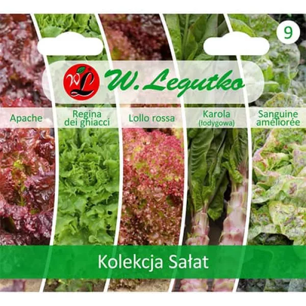 Kolekcja sałat zielonych, opakowanie zawiera 5 odmian