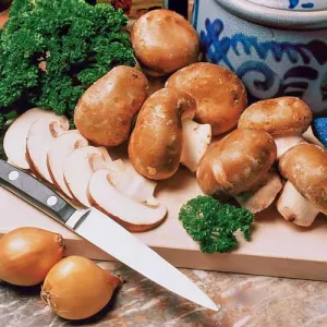 Pieczarka brązowa