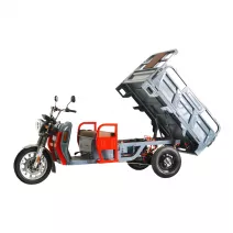 Pojazd elektryczny ROA Cargo NC09