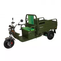Pojazd elektryczny ROA Cargo C06