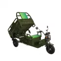 Pojazd elektryczny ROA Cargo C06 B