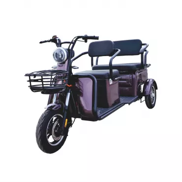 Pojazd elektryczny ROA Combo P1-00