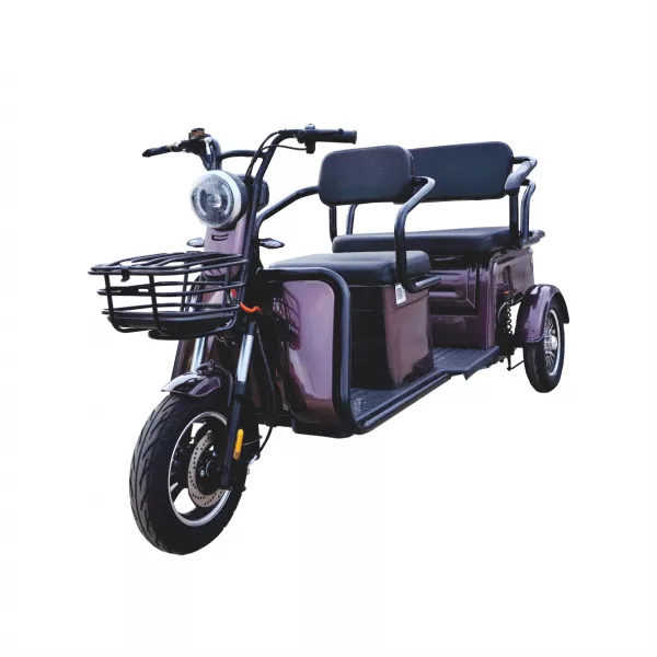 Pojazd elektryczny ROA Combo P1-00